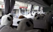 熊猫女孩“袭击”上海