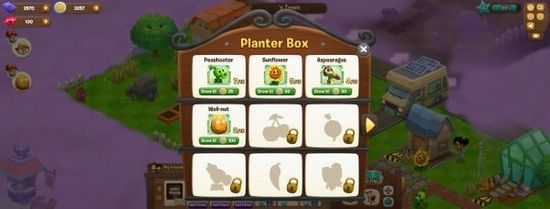要种什么植物好呢？
