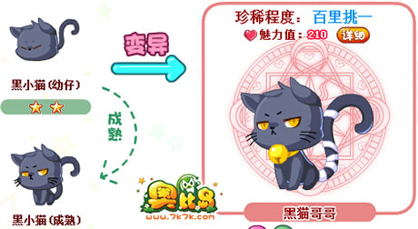 奥比岛黑猫哥哥图鉴及获得方法